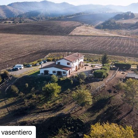 Agriturismo Il Riccio モンティッキオ エクステリア 写真