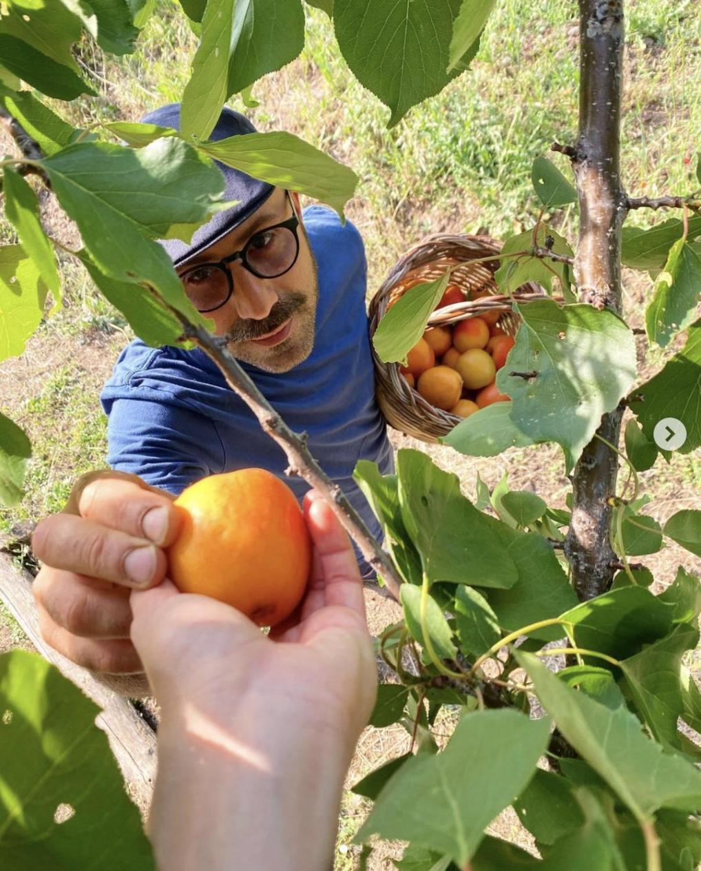 Agriturismo Il Riccio モンティッキオ エクステリア 写真