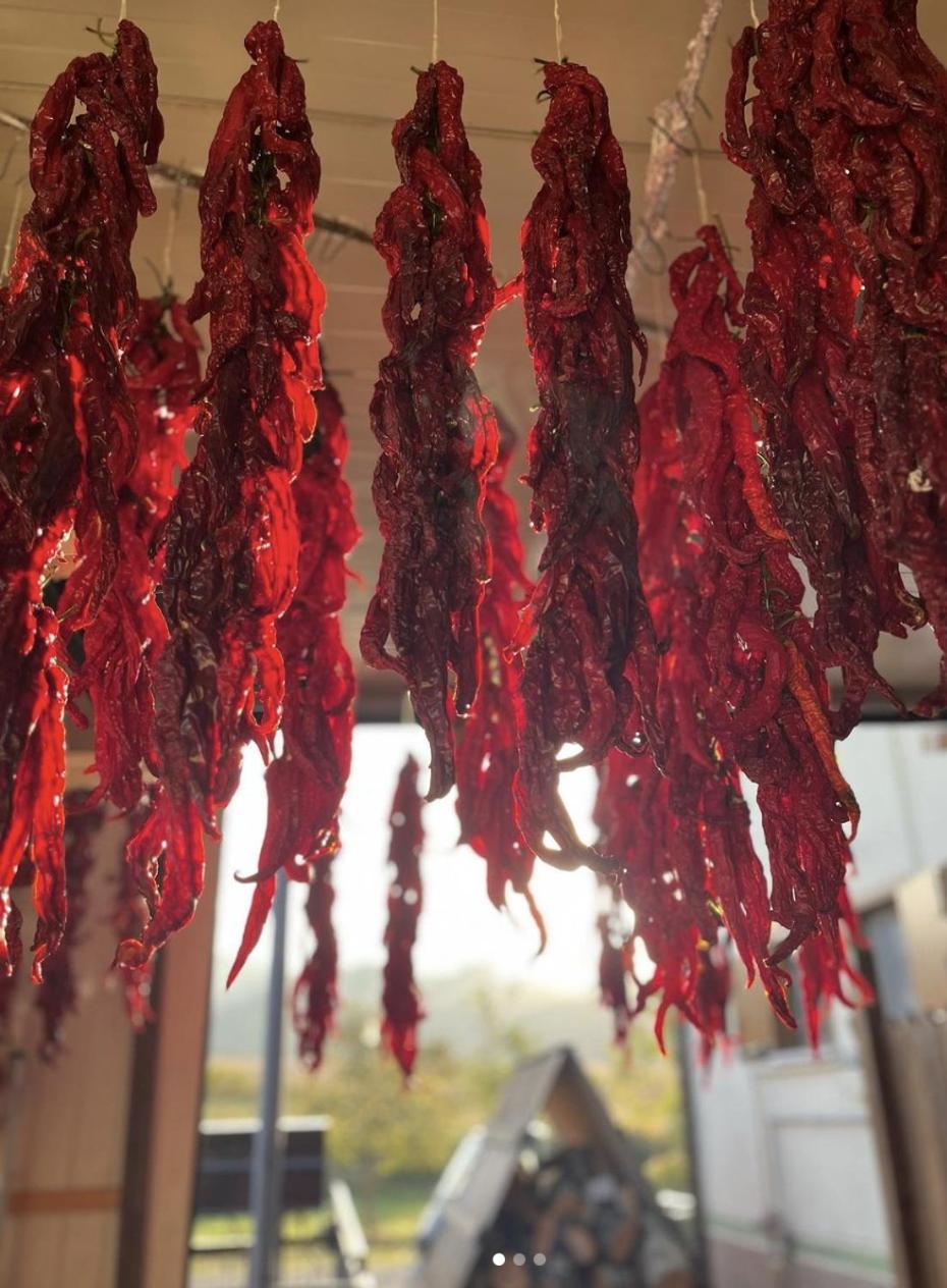 Agriturismo Il Riccio モンティッキオ エクステリア 写真