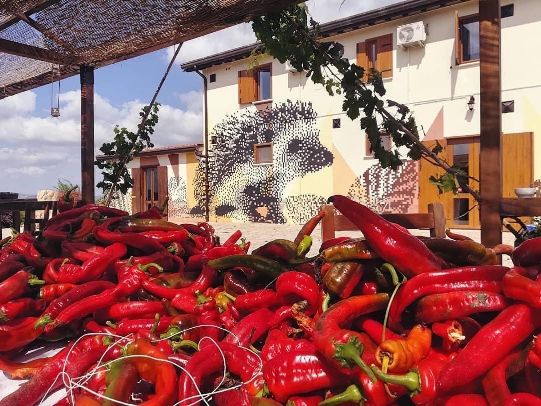 Agriturismo Il Riccio モンティッキオ エクステリア 写真