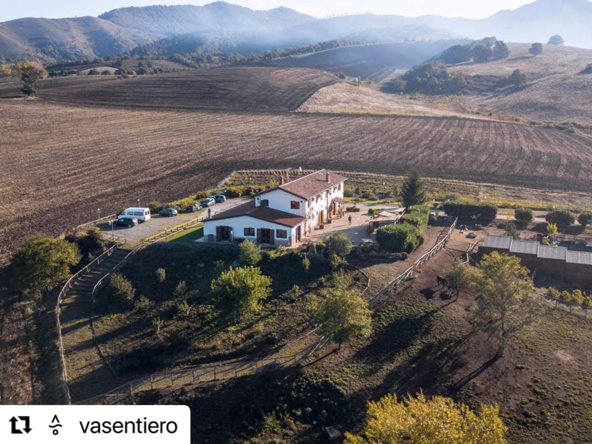 Agriturismo Il Riccio モンティッキオ エクステリア 写真