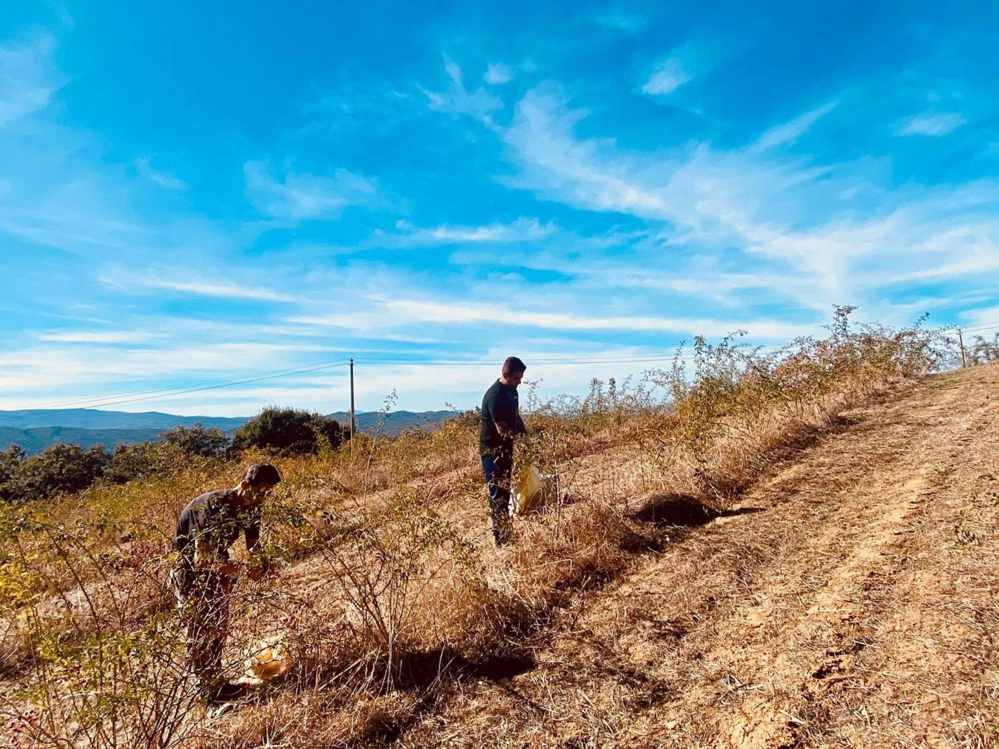 Agriturismo Il Riccio モンティッキオ エクステリア 写真