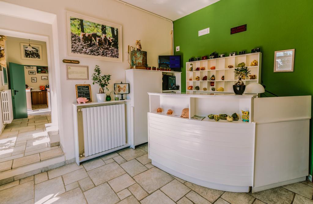 Agriturismo Il Riccio モンティッキオ エクステリア 写真