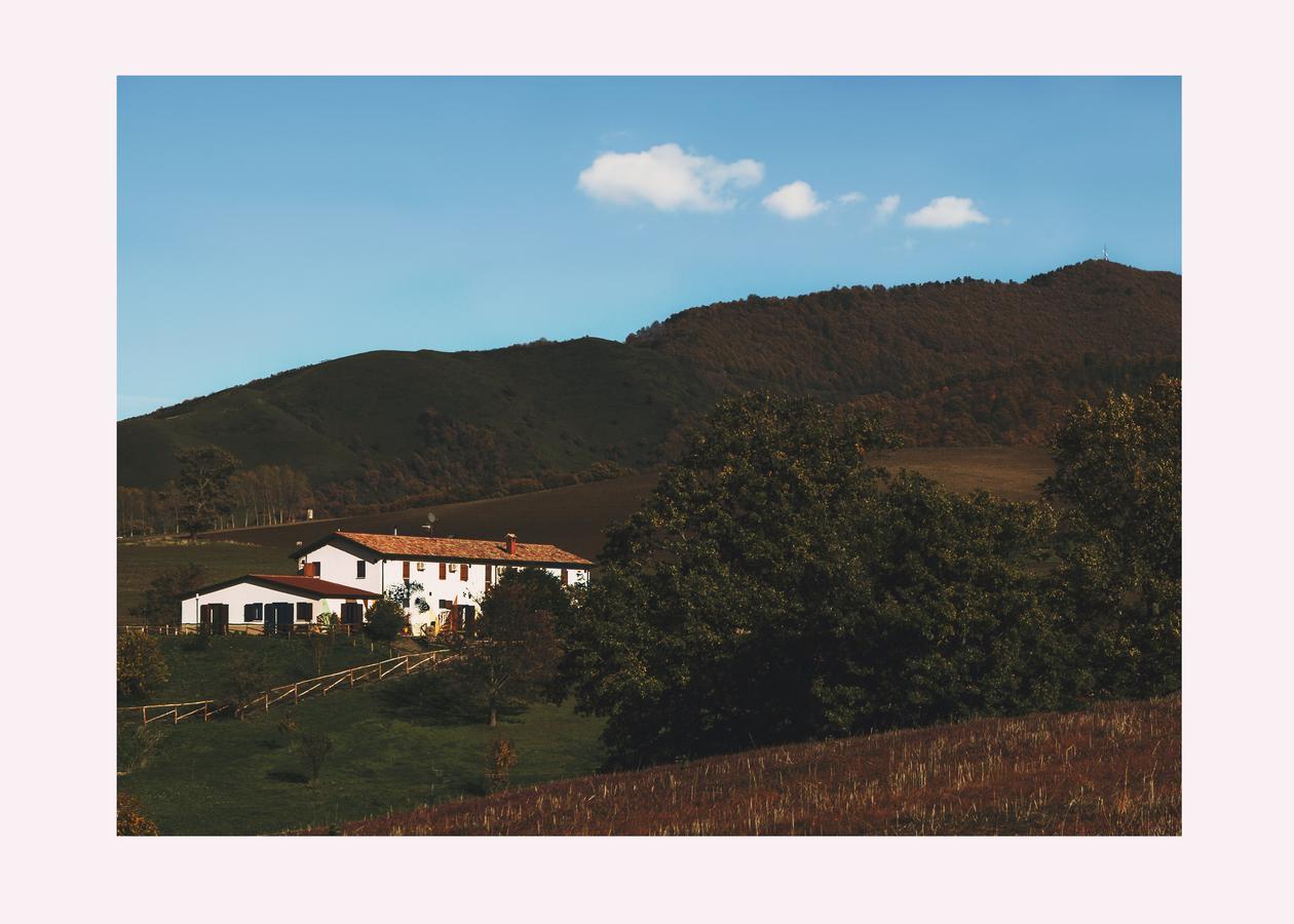 Agriturismo Il Riccio モンティッキオ エクステリア 写真