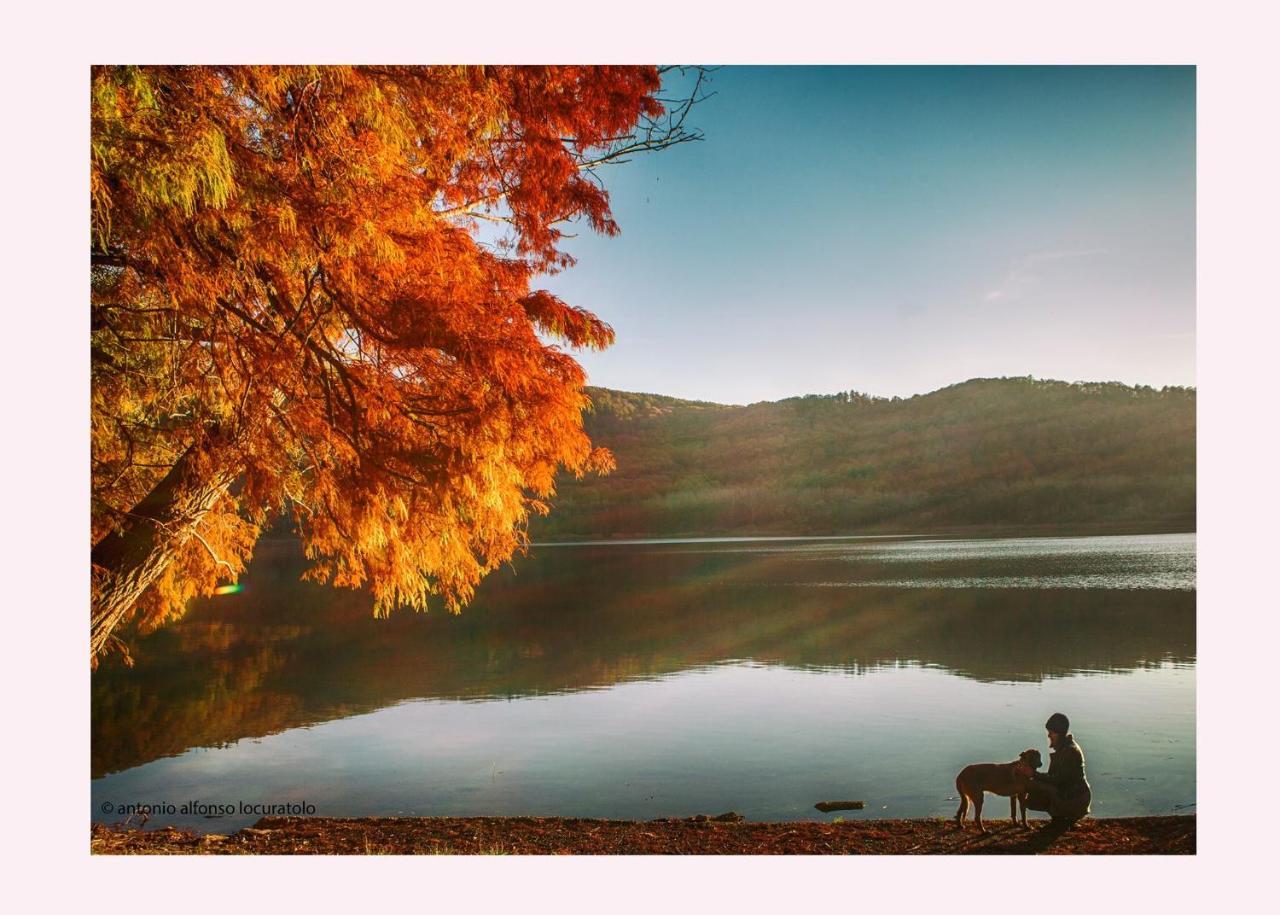 Agriturismo Il Riccio モンティッキオ エクステリア 写真