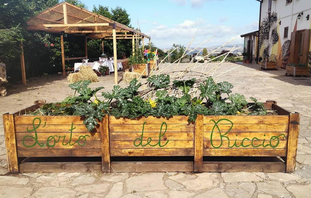 Agriturismo Il Riccio モンティッキオ エクステリア 写真