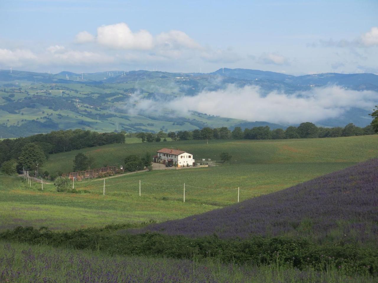 Agriturismo Il Riccio モンティッキオ エクステリア 写真