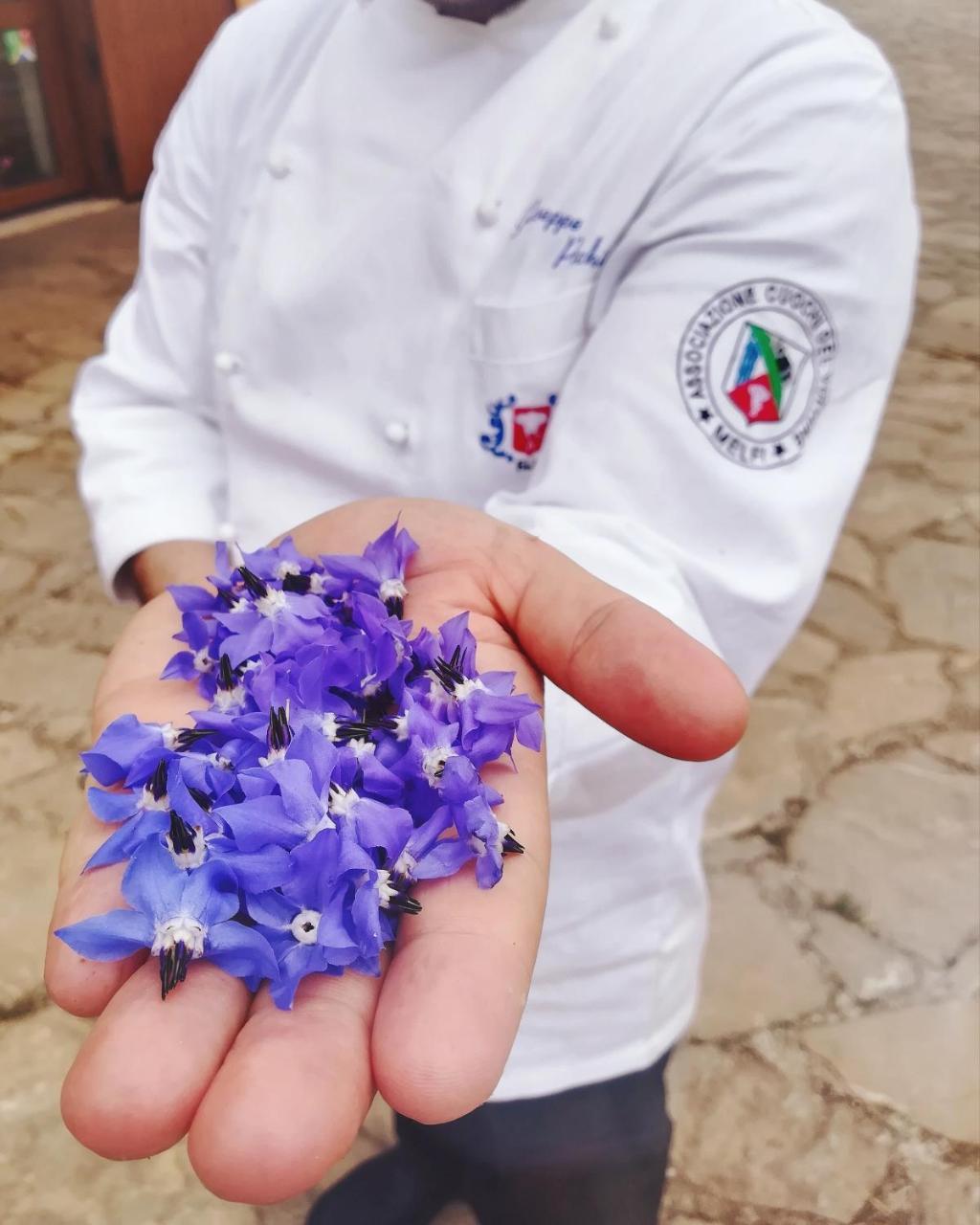 Agriturismo Il Riccio モンティッキオ エクステリア 写真