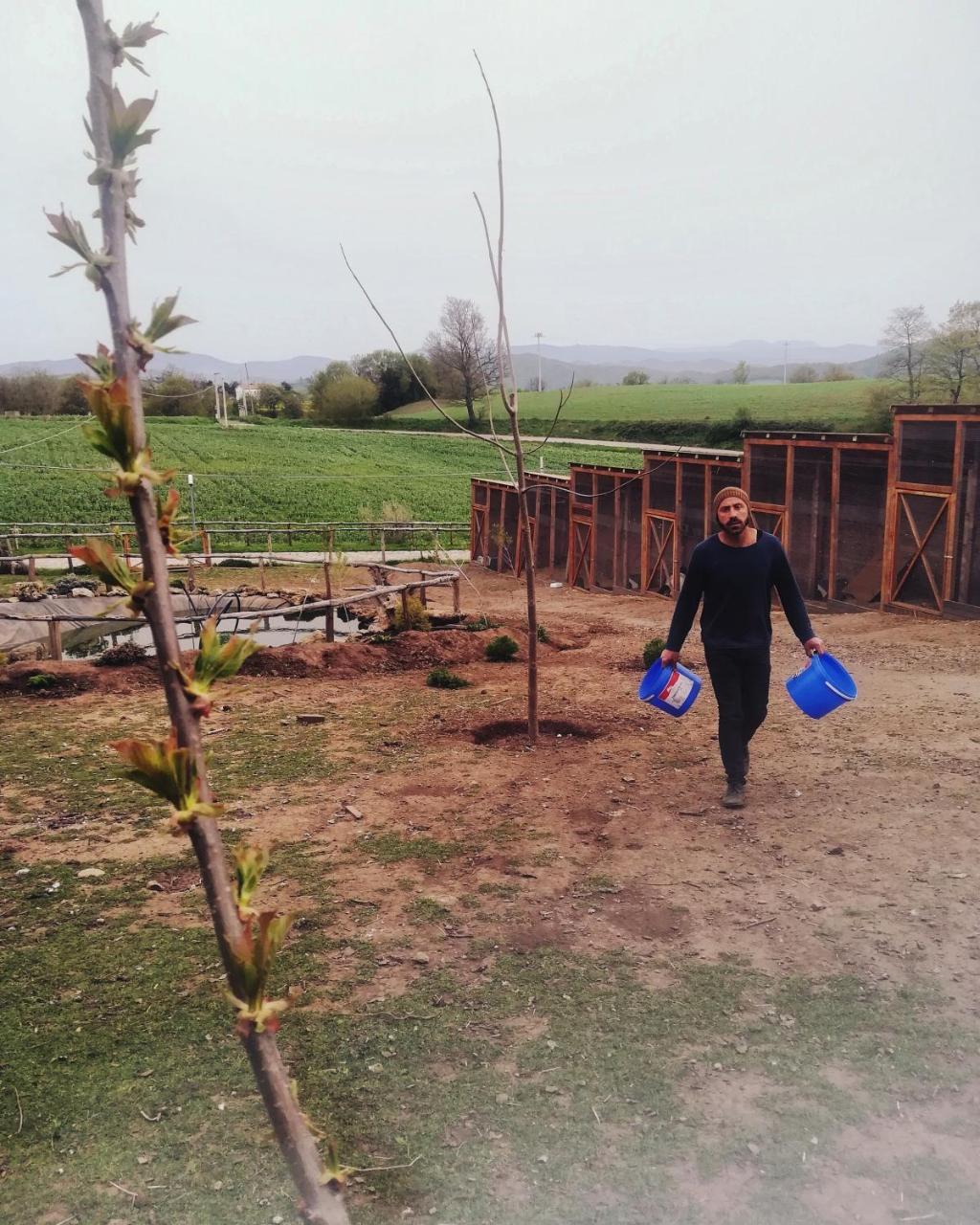 Agriturismo Il Riccio モンティッキオ エクステリア 写真